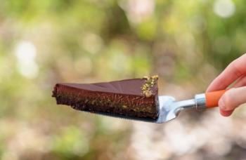 Nyers vegán pisztáciás csokoládétorta   16 szeletes 2.Kép